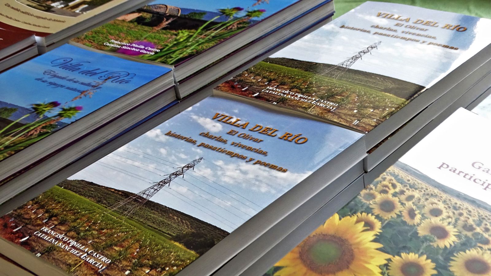 Detalle de algunos de los libros presentados.