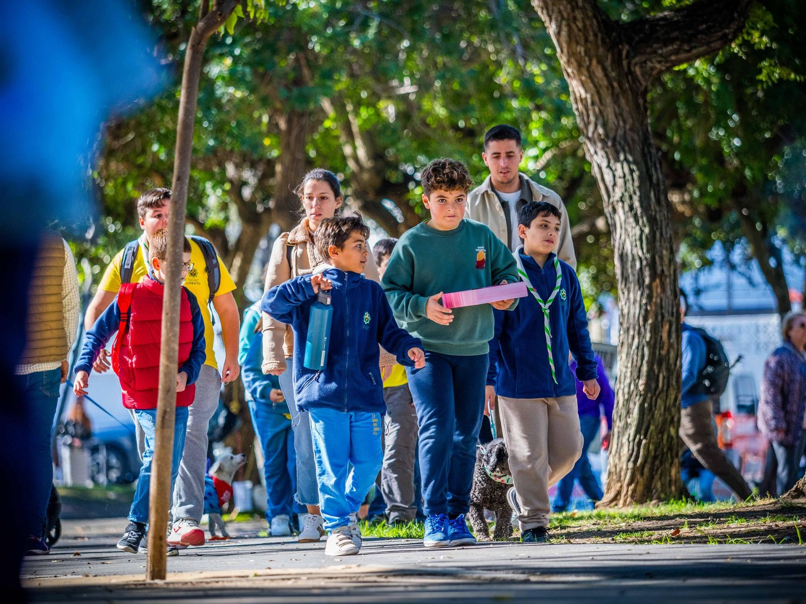 Las imágenes de San Antón 2025 en San Fernando