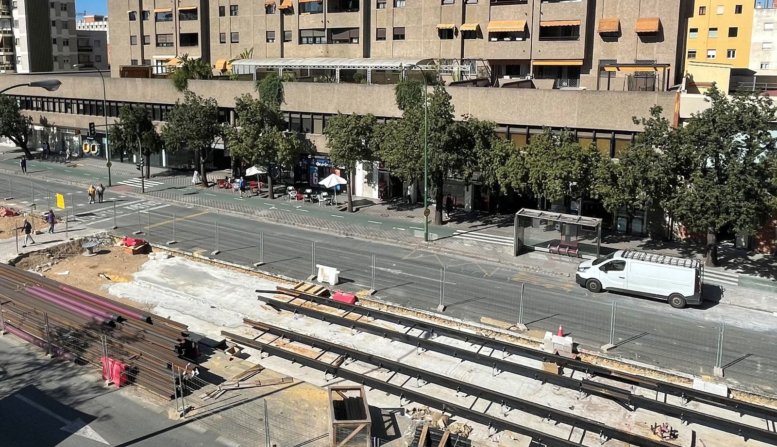 Vista de los ocho árboles de Luis de Morales que van a desaparecer.