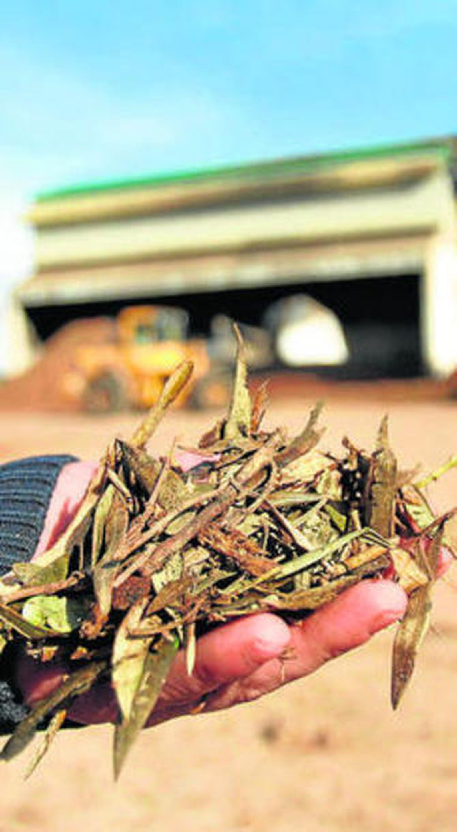 Recogida de biomasa.