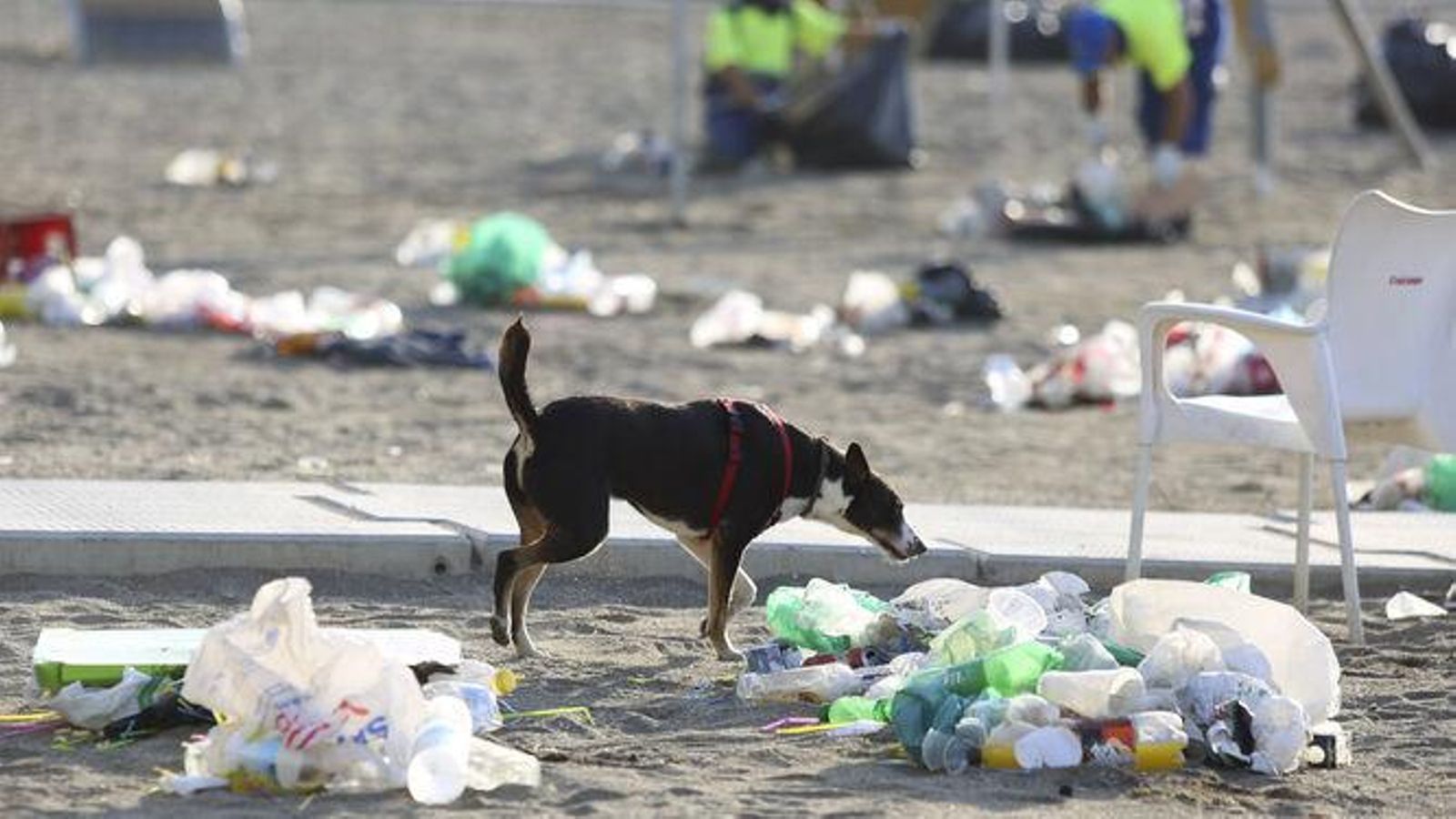 Estado de una playa tras la noche de San Juan de 2019. Estado de una playa tras la noche de San Juan de 2019.