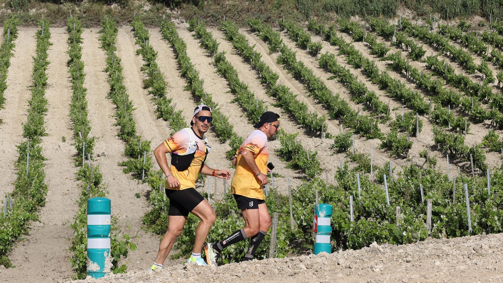 Búscate en la Sherry Maratón 2025 de Jerez (I)