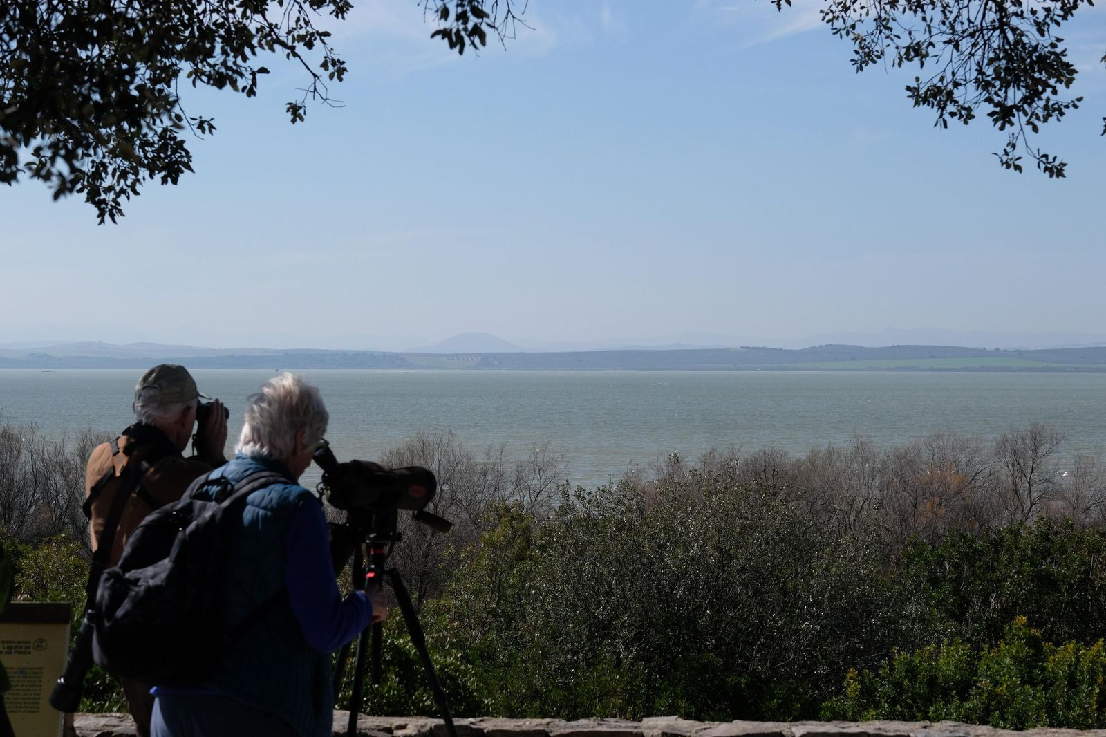 Las lluvias transforman el paisaje en el interior de Málaga, en imágenes