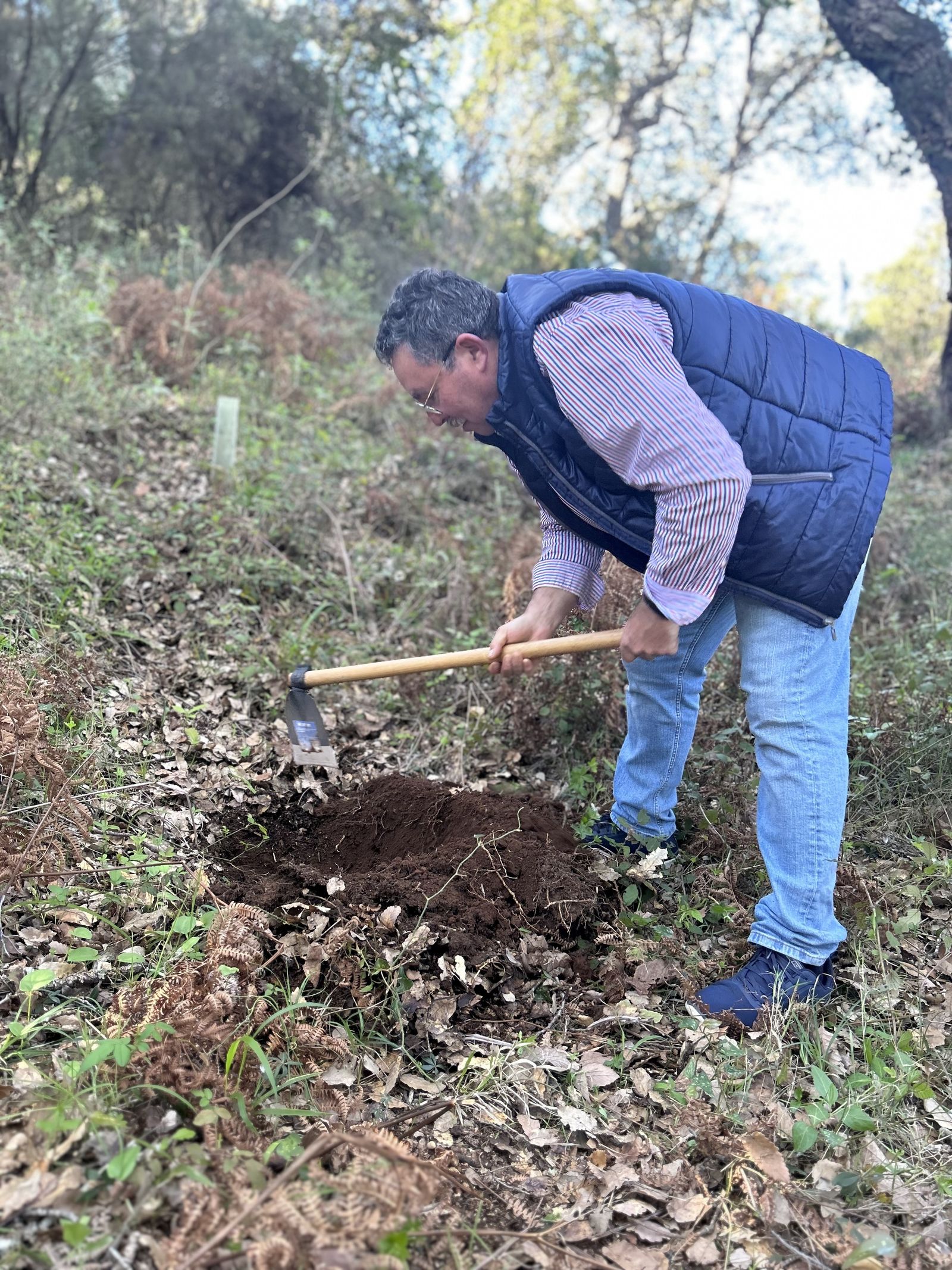 Jornada de reforestación en El Palancar por trabajadores de Acerinox, en imágenes