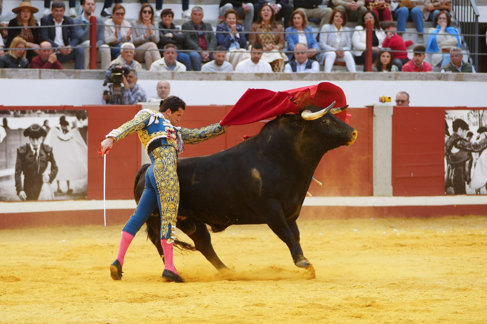 Las mejores imágenes de Manuel Morán, El Fandi y Daniel Luque en Pozoblanco