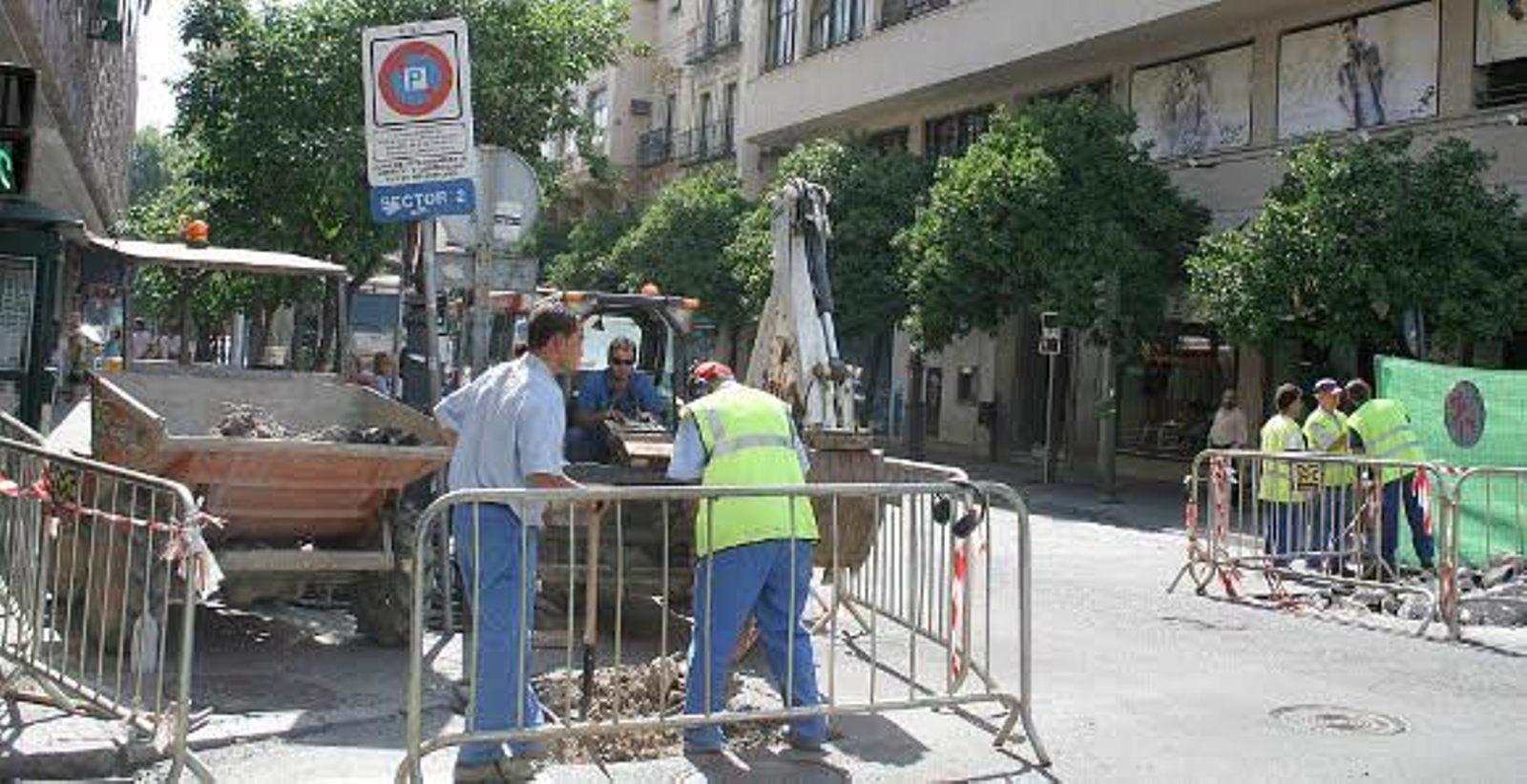 'Currantes' a pleno sol en otoño