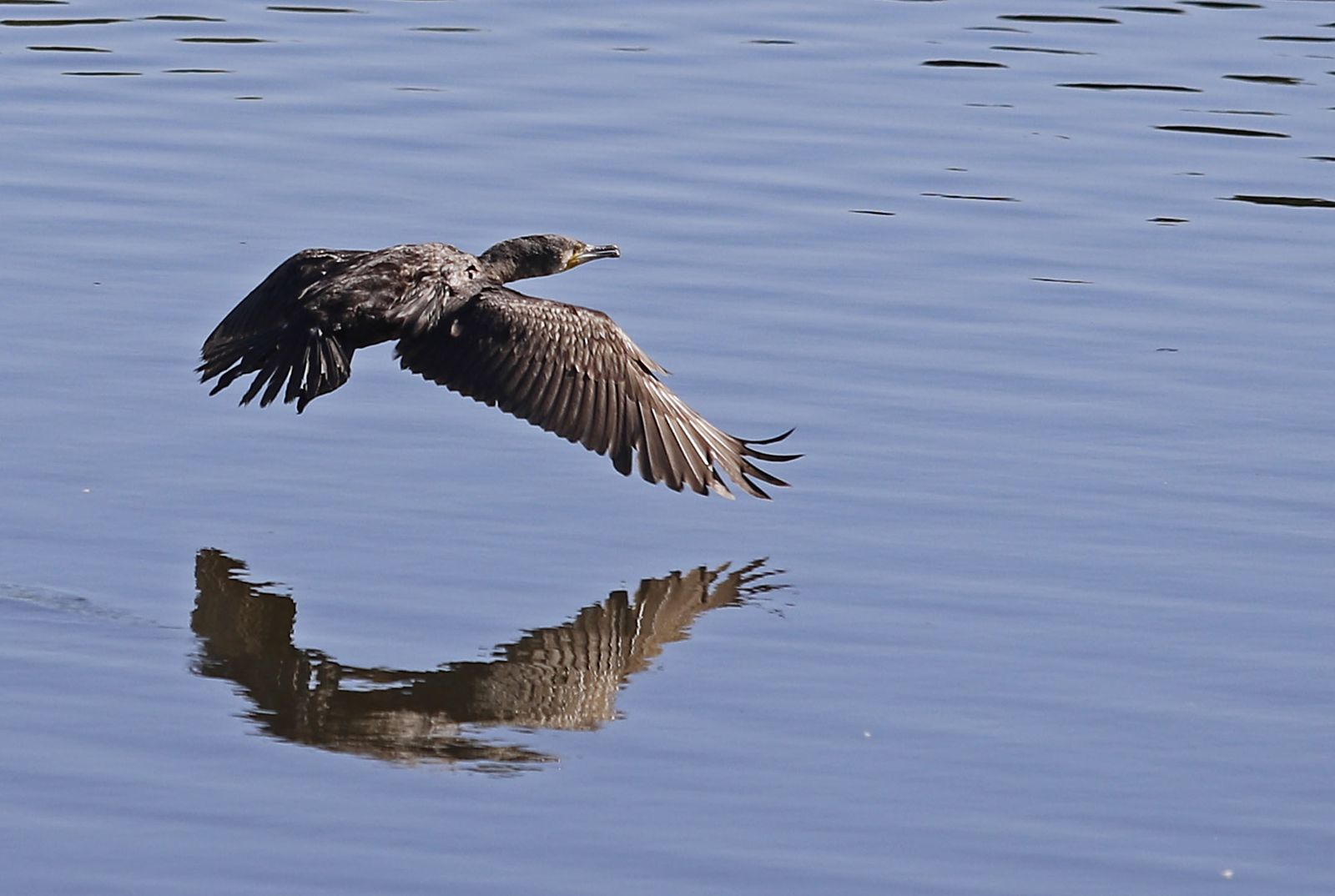 Las imágenes más destacadas del lunes 25 de septiembre en Huelva