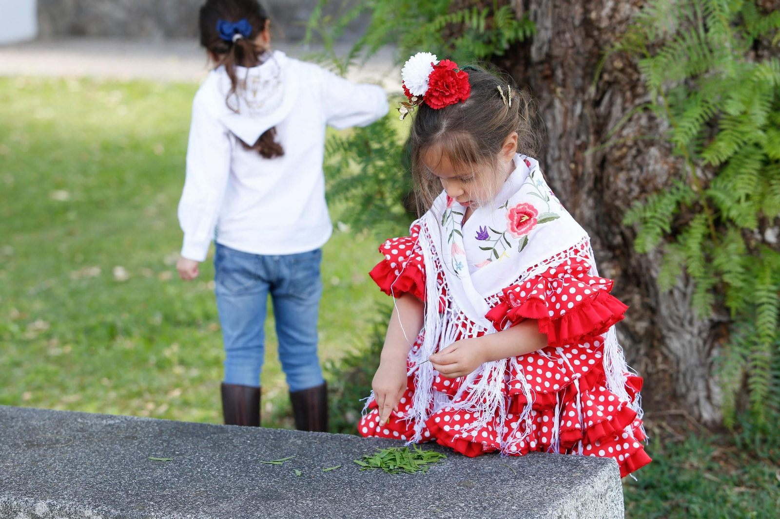 Fotos del domingo de Feria y la romería del Cristo de la Almoraima