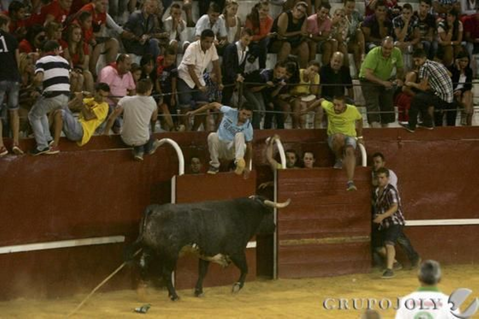 Encierro de la Feria Real de San Roque 2012