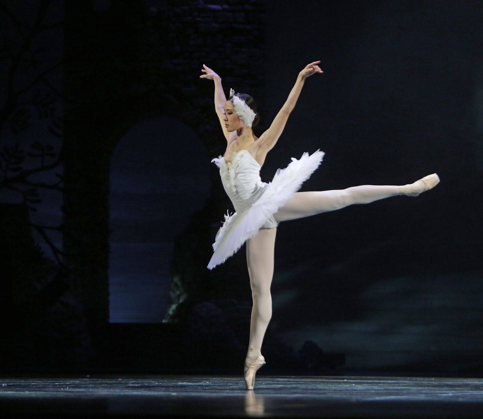 EL LAGO DE LOS CISNES