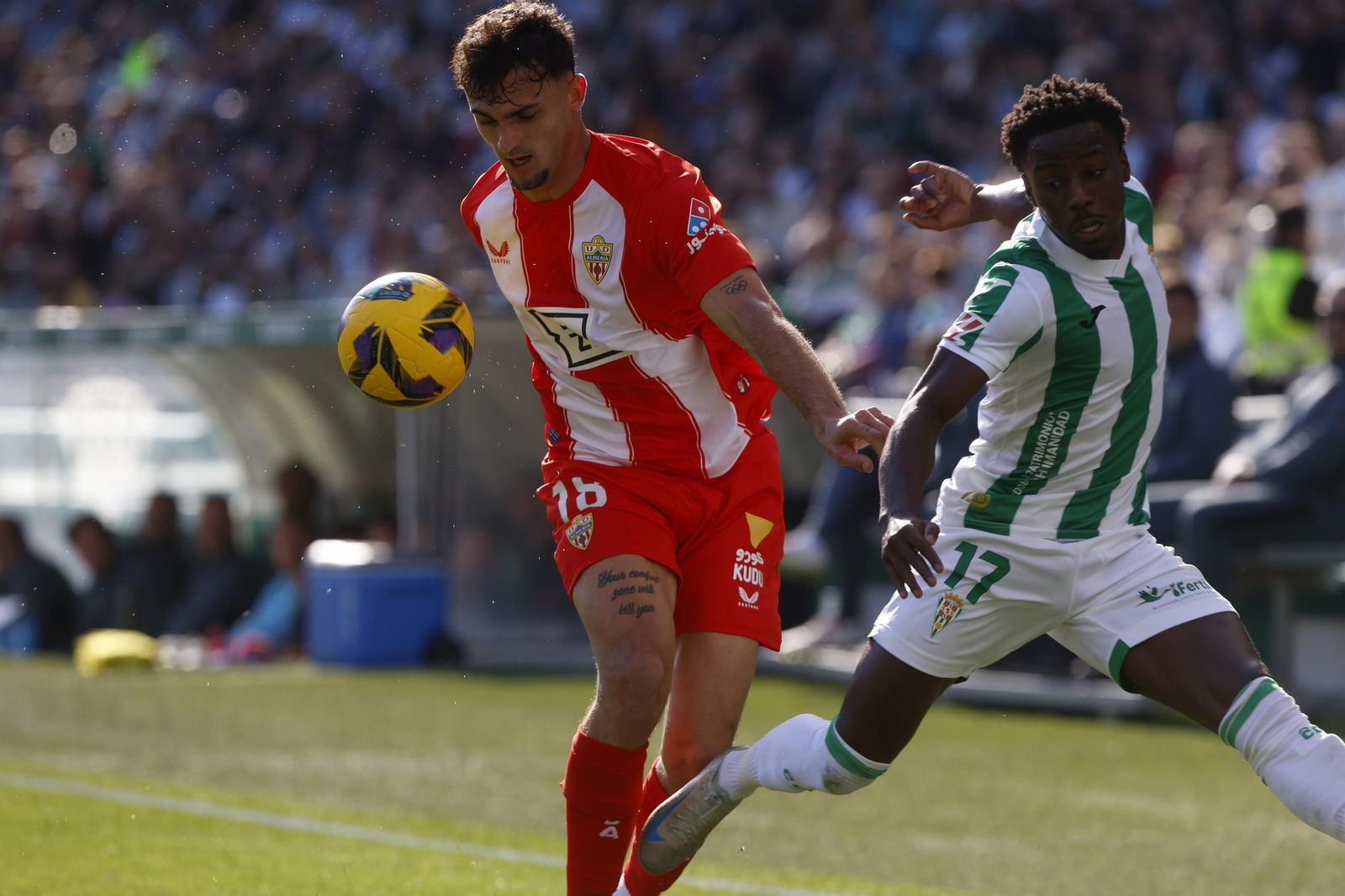 Las mejores fotos del ambiente en el Córdoba CF - Almería en El Arcángel