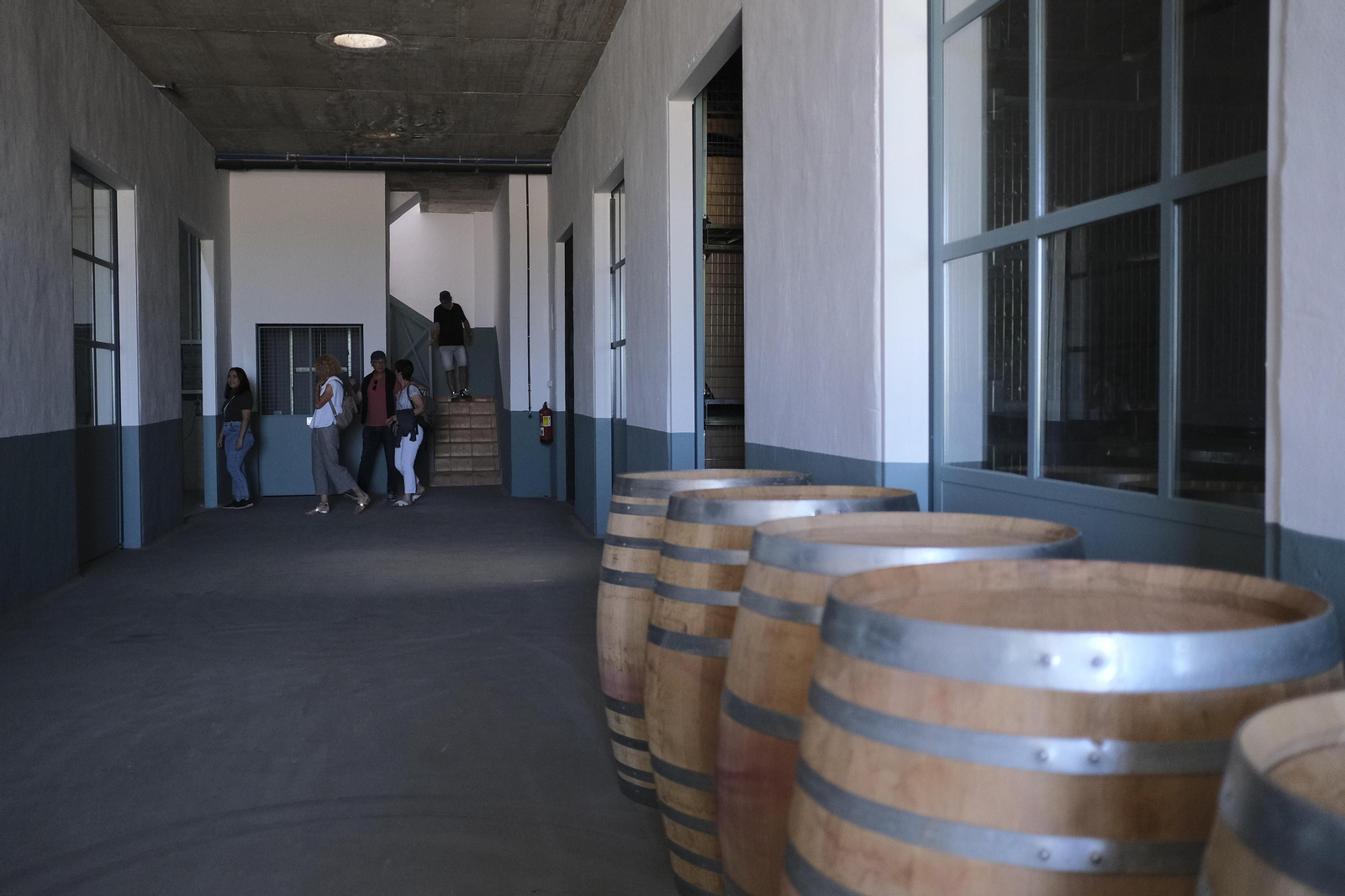 El regreso del turismo extranjero a las bodegas rondeñas, en fotos