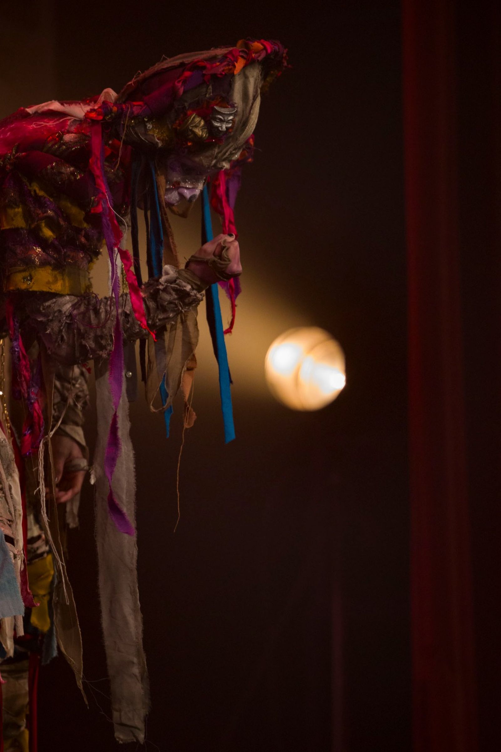 Búscate entre las mejores imágenes de la decimoséptima sesión preliminares del COAC 2025