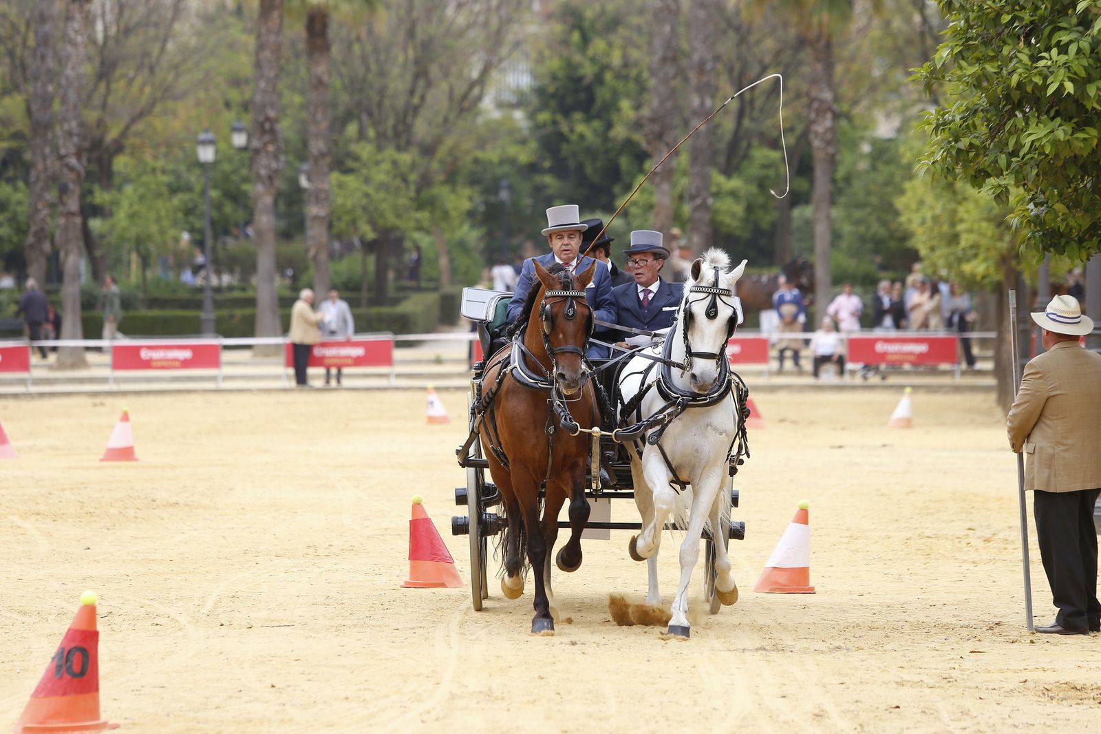 El concurso de enganches, en imágenes