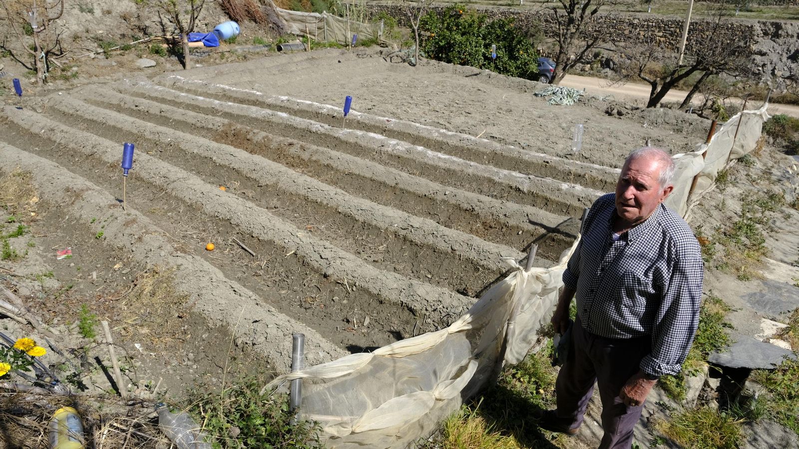 Los caballones, la forma de cultivar patatas en la zona.