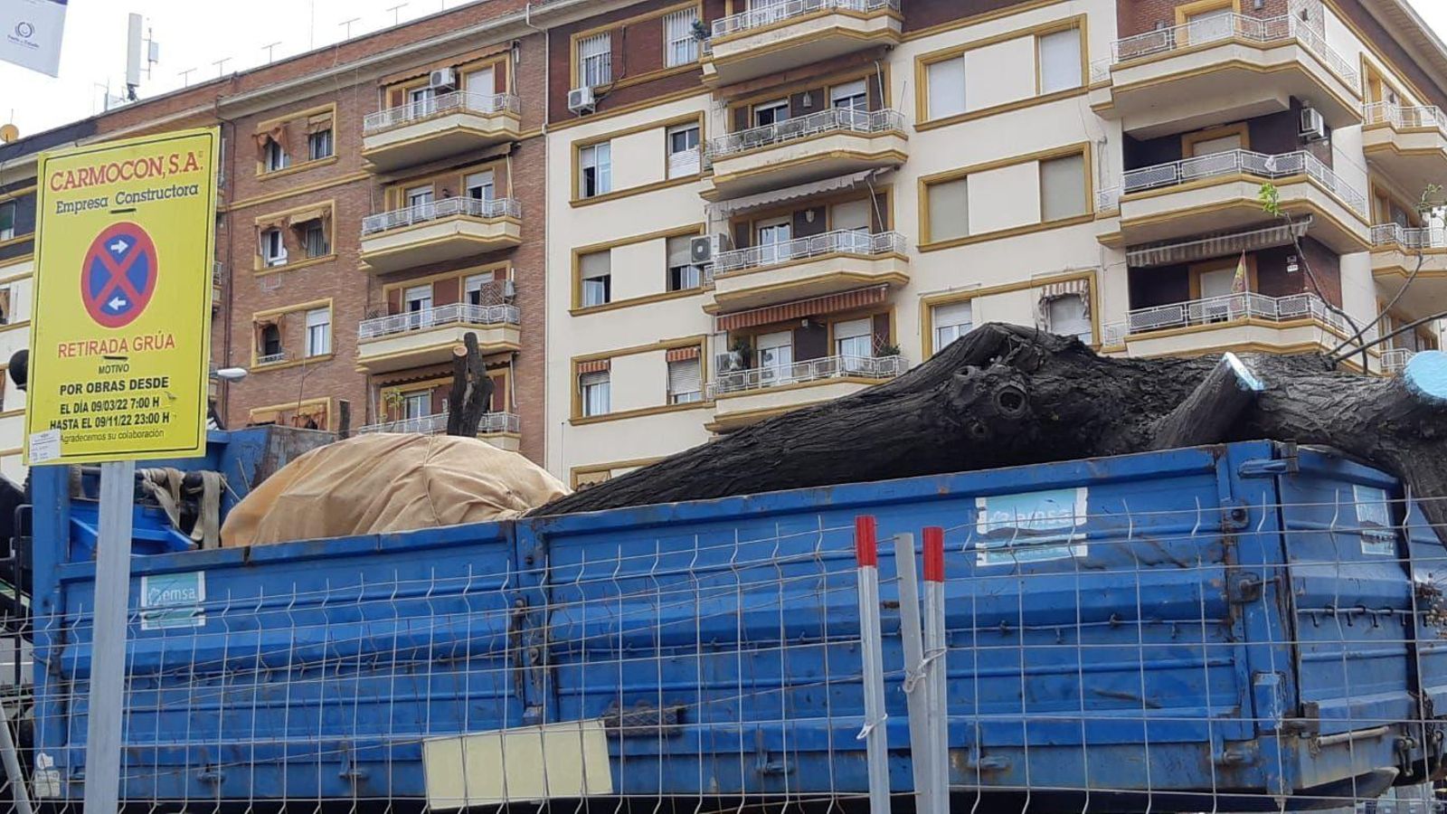Un árbol, sometido a una gran tala, en una cuba dispuesto para ser trasladado al vivero.