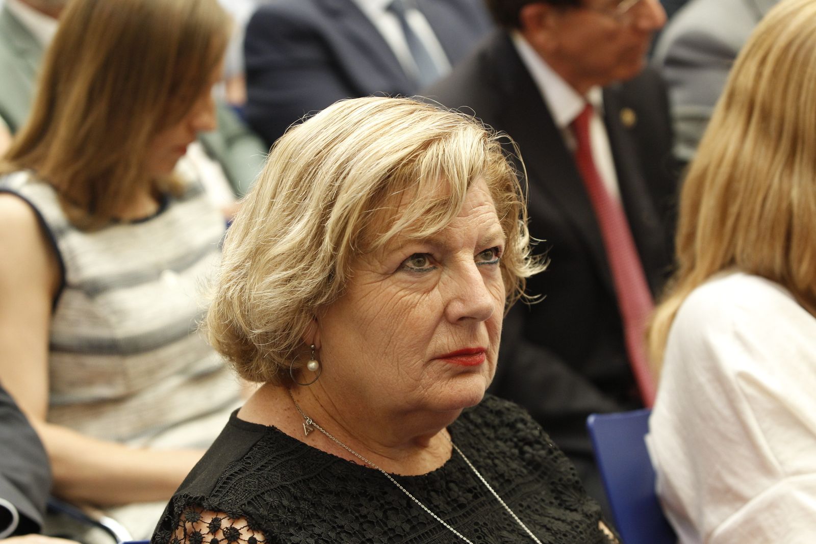 Pleno investidura Presidente Diputación de Almería. Javier Aureliano García