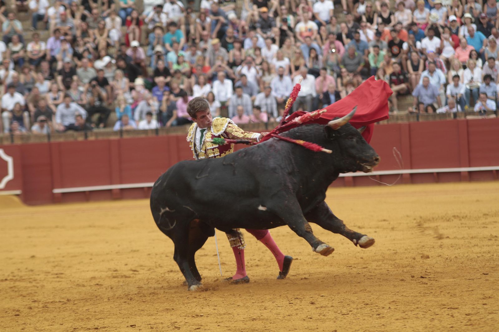 Las imágenes de la decimosexta de abono de La Maestranza