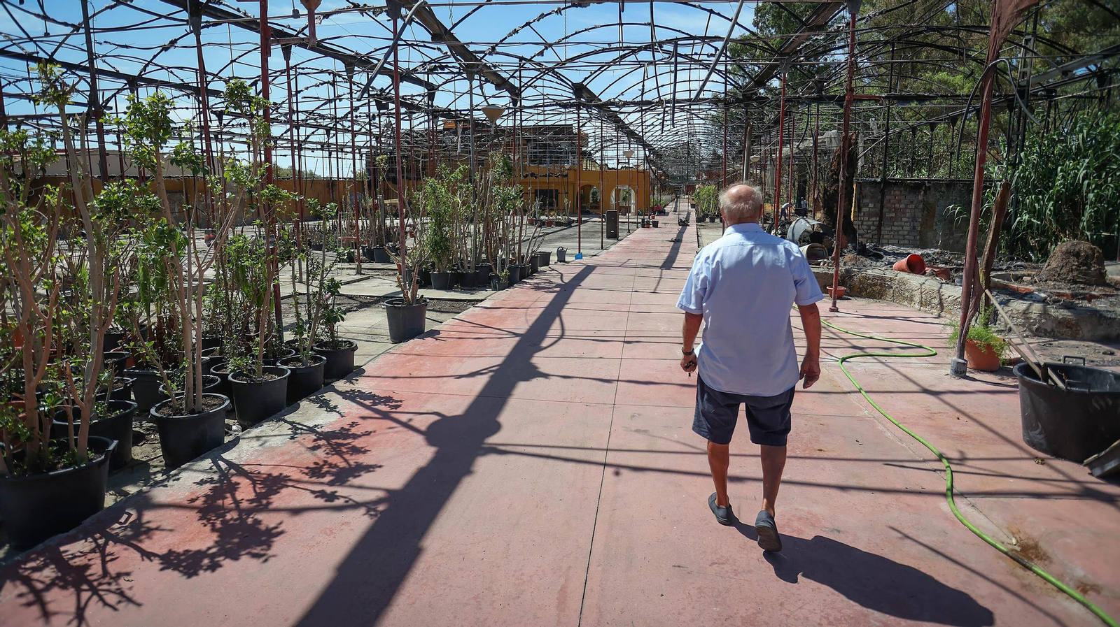 Así son las labores de recuperación de Viveros Olmedo, más de un mes después del incendio que arrasó el negocio