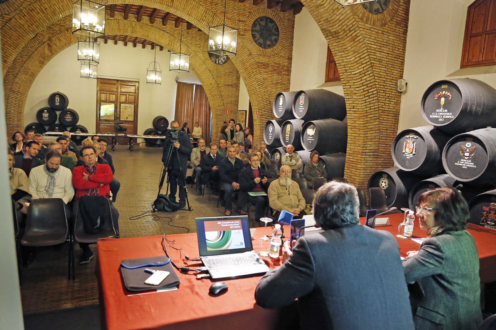 La presidenta del GDR de la campiña durante una presentación de la estrategia de desarrollo local en el Consejo del vino.