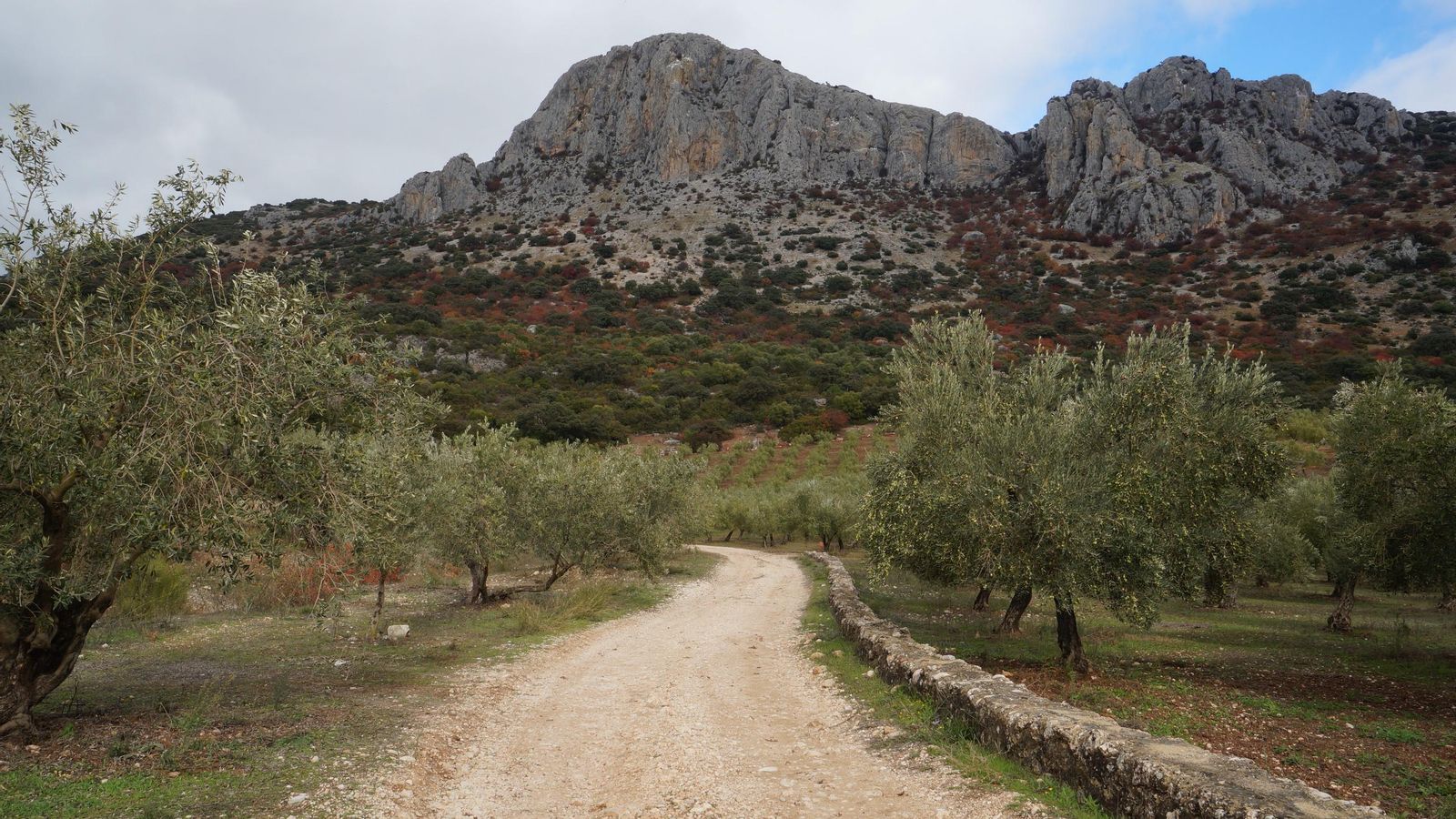 Paisaje del Parque Natural de la Sierra Subbética.
