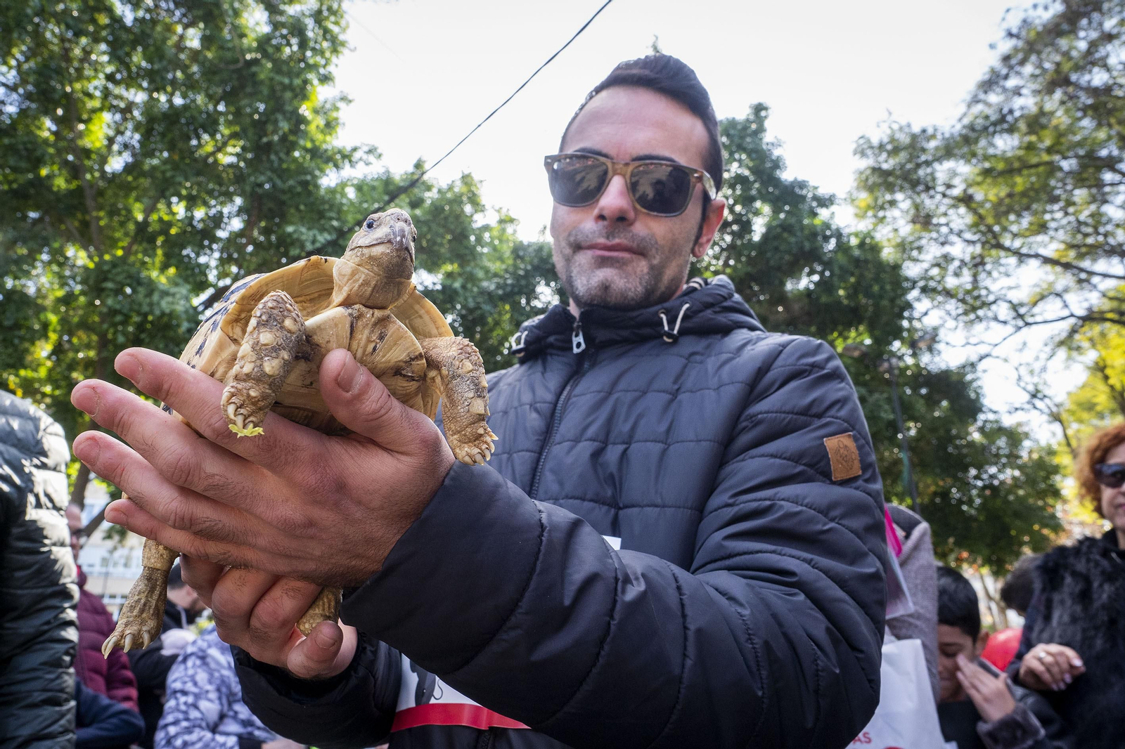 Las imágenes de la fiesta de San Antón en San Fernando