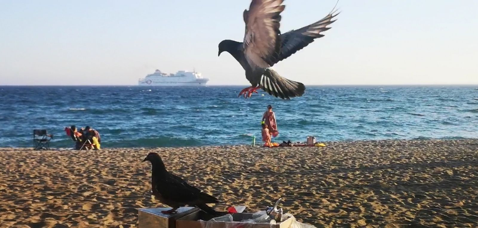 El Puerto de Almería retomó el pasado día 23 el transporte regular de pasajeros con la Ciudad Autónoma.