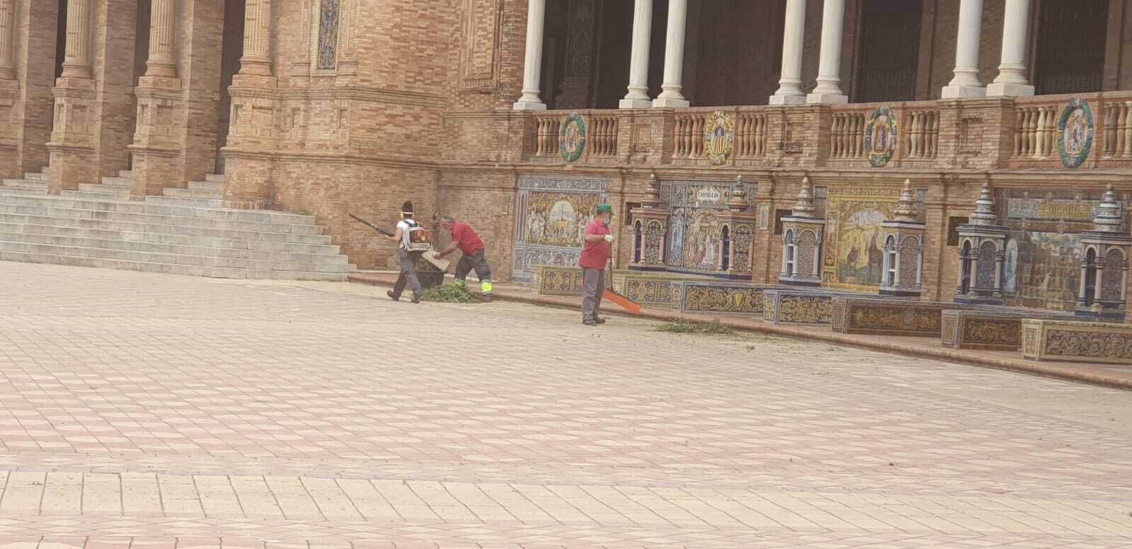 Operarios municipales eliminan la maleza de los bancos dedicados a las provincias.