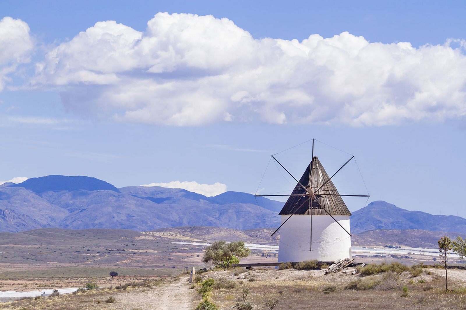 Lo que el viento  no fue capaz de llevarse del Parque Natural