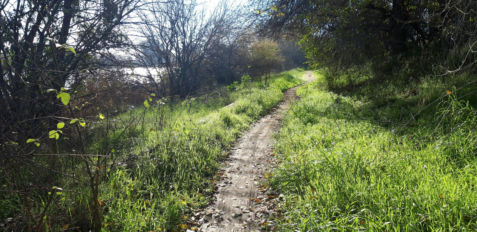 Ruta por la ribera del Guadalquivir entre Sevilla y Coria del Río