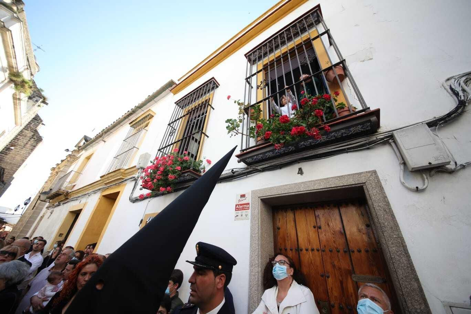 Imágenes de la Hermandad de la Vera-Cruz