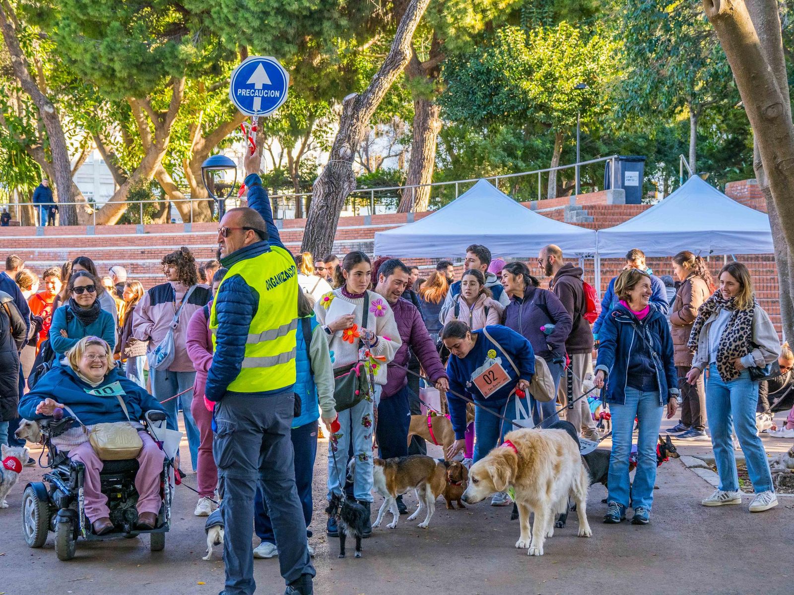 Las imágenes de San Antón 2025 en San Fernando