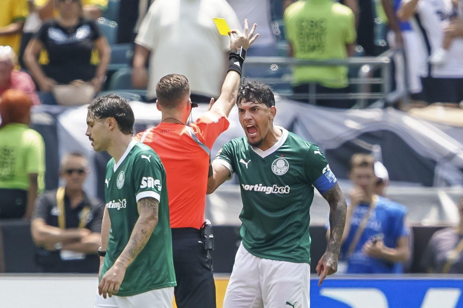 Palmeiras-Botafogo (15).jpg