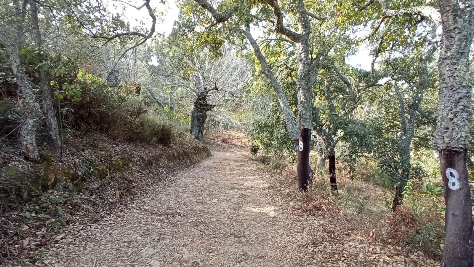 Nos adentramos en el pulmón de la ruta