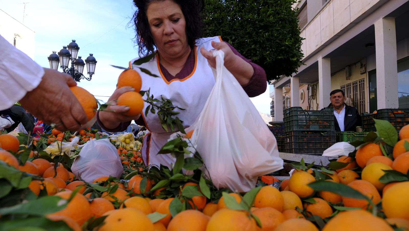 El Día de la Naranja en Gádor, en imágenes