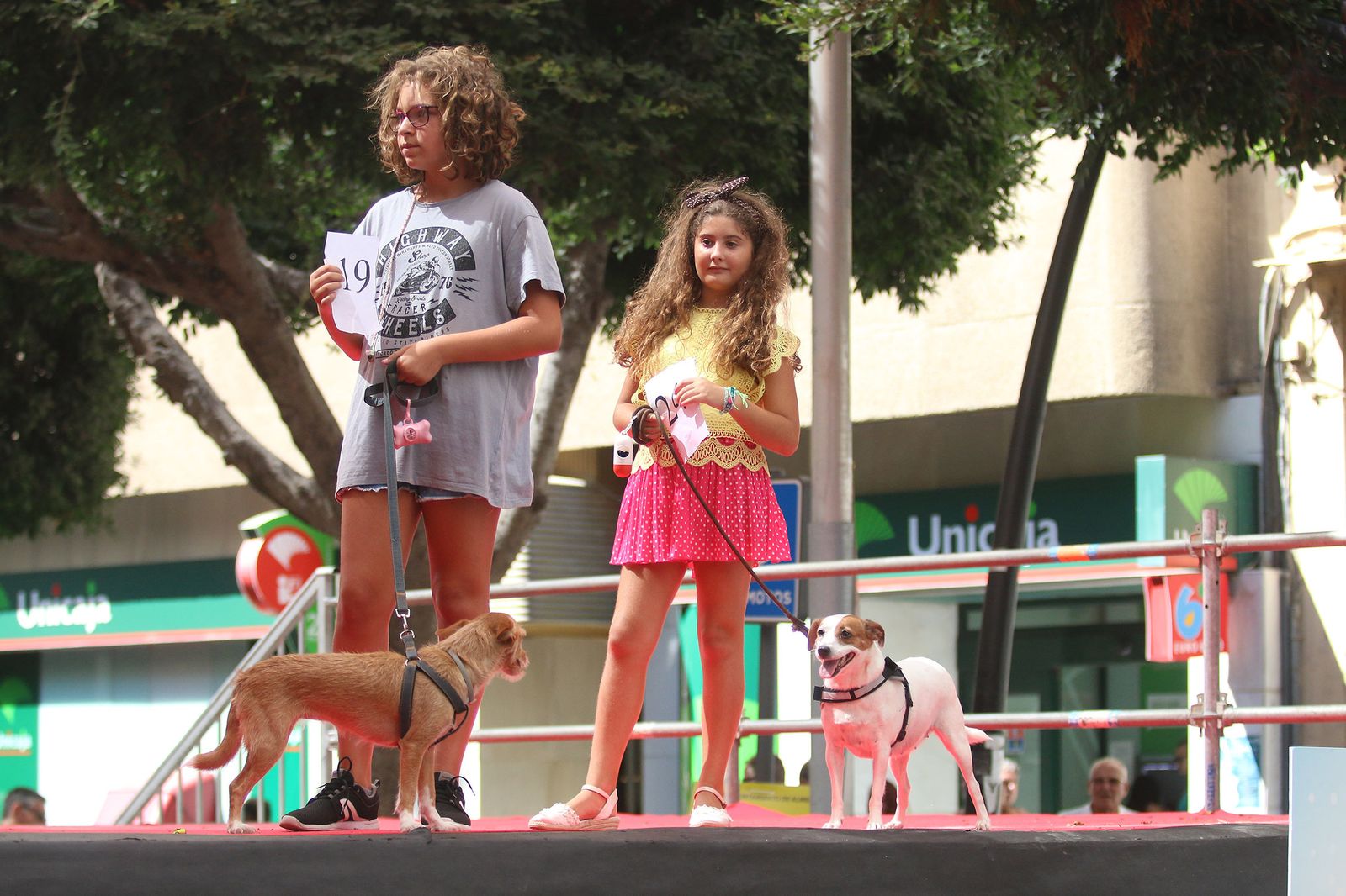 Fotogalería del concurso canino. Feria de Almería 2019