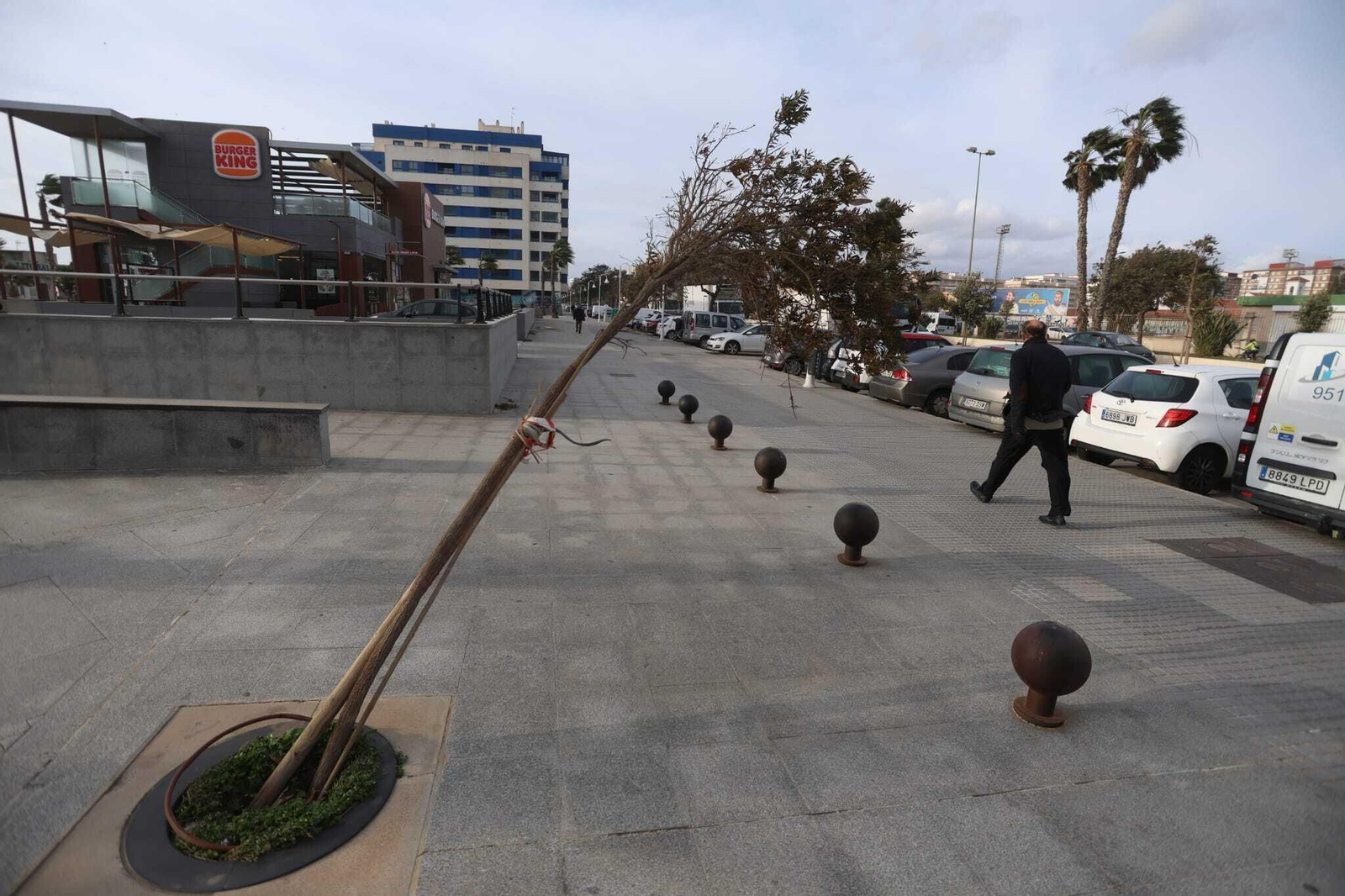 Las fotos del temporal de viento de levante en Málaga, en aviso naranja
