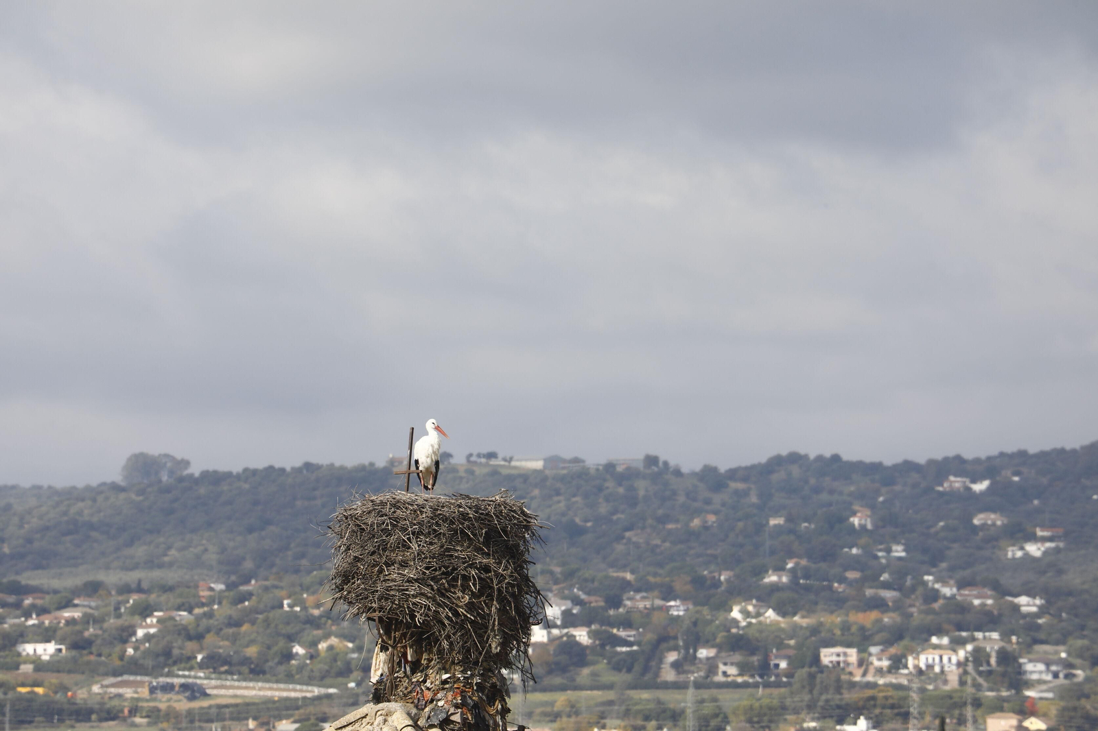 Un paseo por Encinarejo, la ELA de Córdoba en expansión