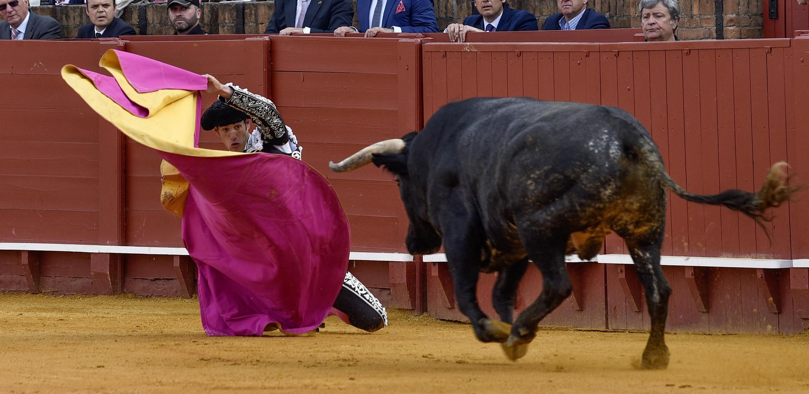 Las imágenes de la 14ª de abono de la Maestranza