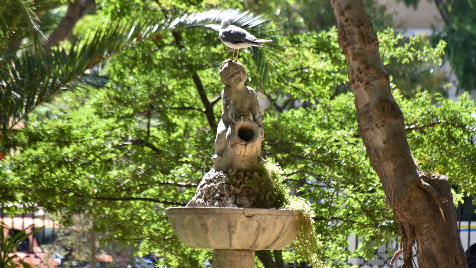 Un día de parques en Algeciras