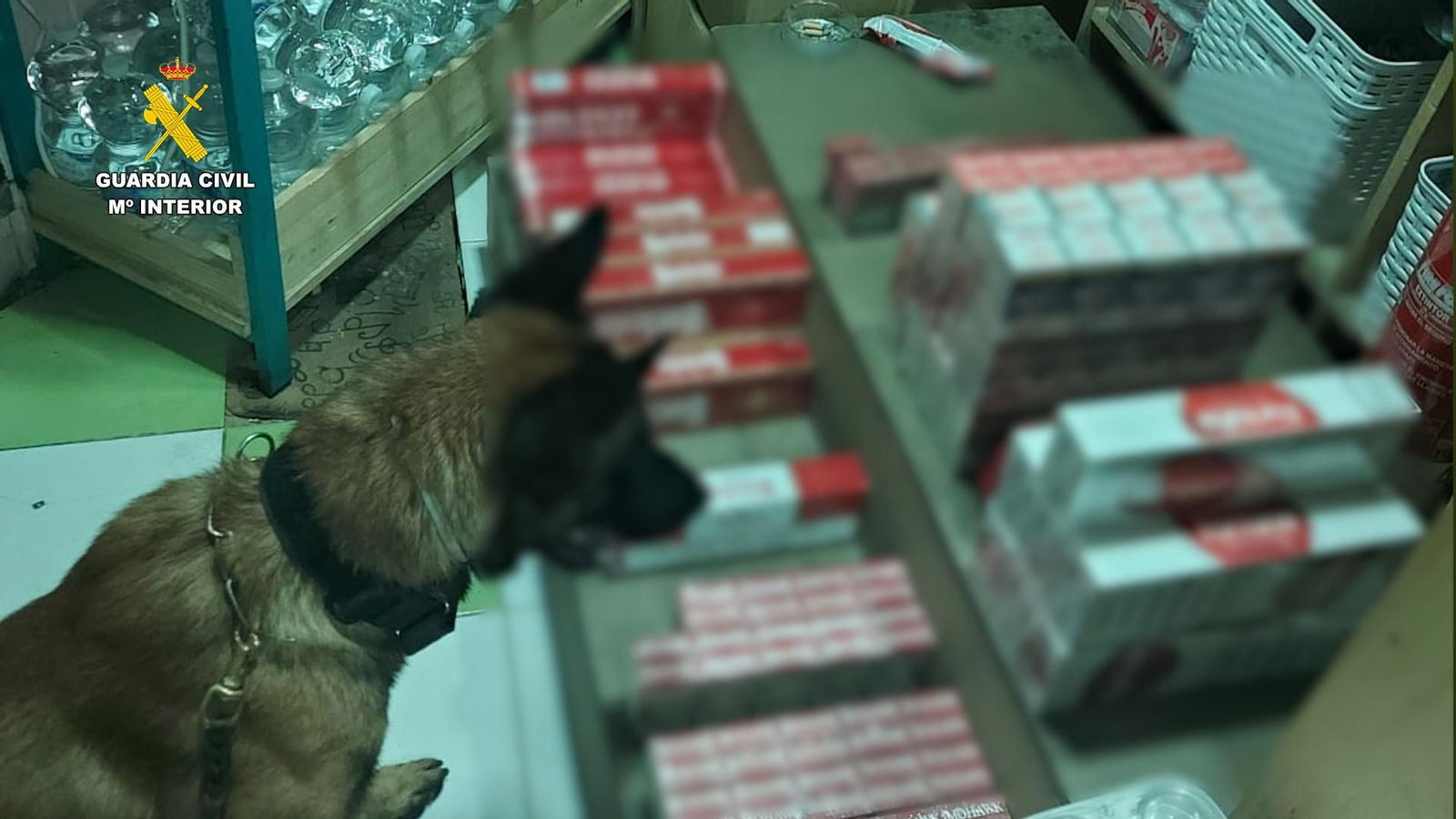 La Guardia Civil interviene en Jerez, en un kiosco de chucherías, tabaco ilegal oculto tras la pared