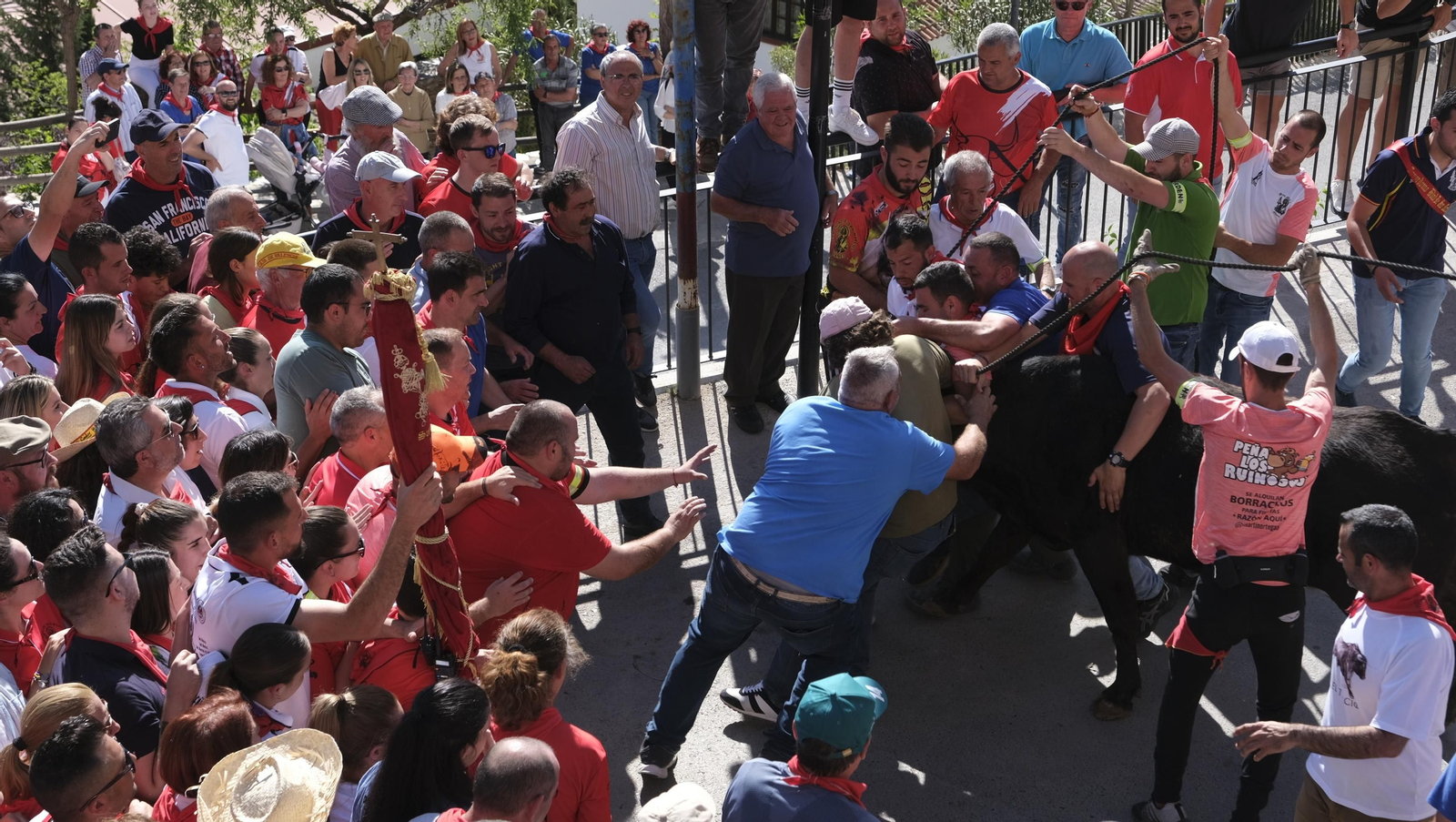 Imágenes de los toros ensogaos y San Marcos, en las Fiestas de Ohanes