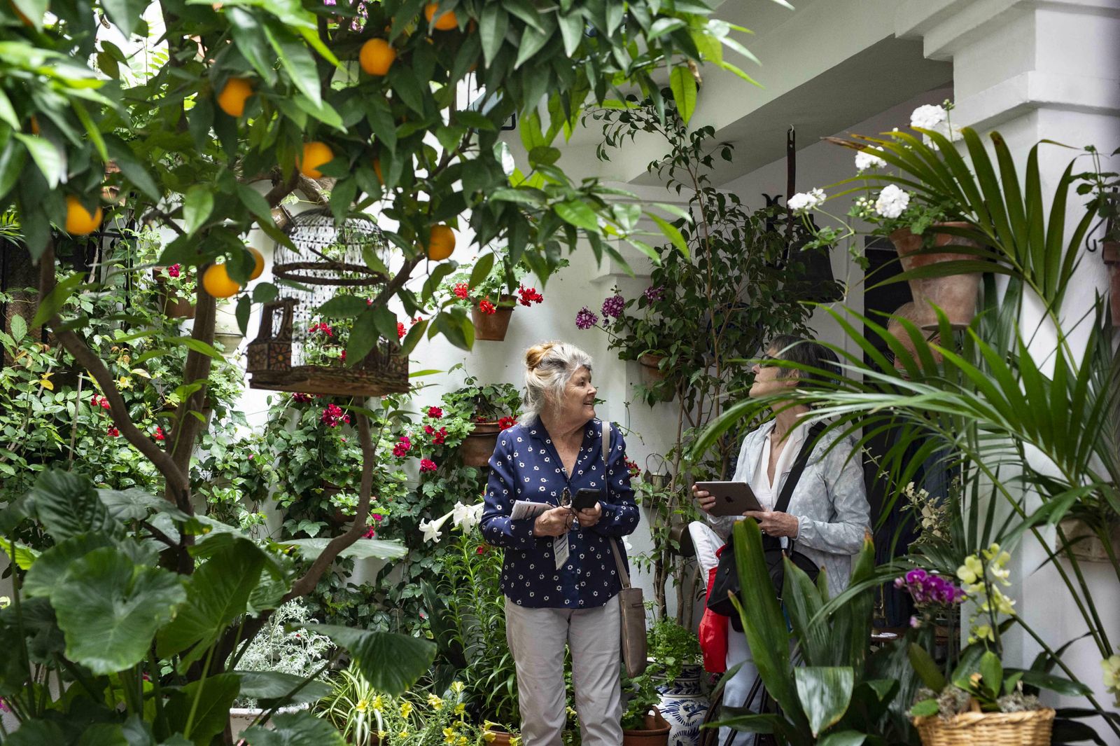 En imágenes: la ruta de los Patios Santa Marina-San Agustín