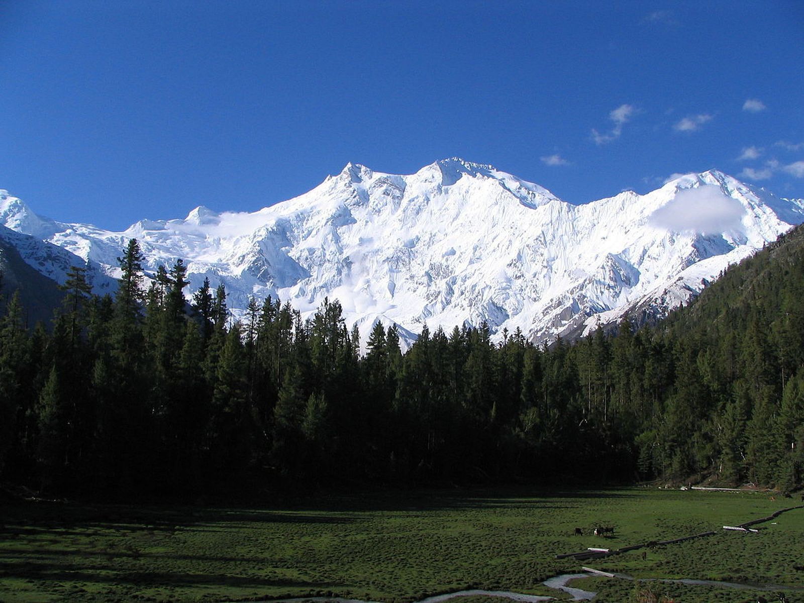 El Nanga Parbat y sus 8.125 metros vistos desde una de las llanuras cercanas a la cordillera del Karakórum.