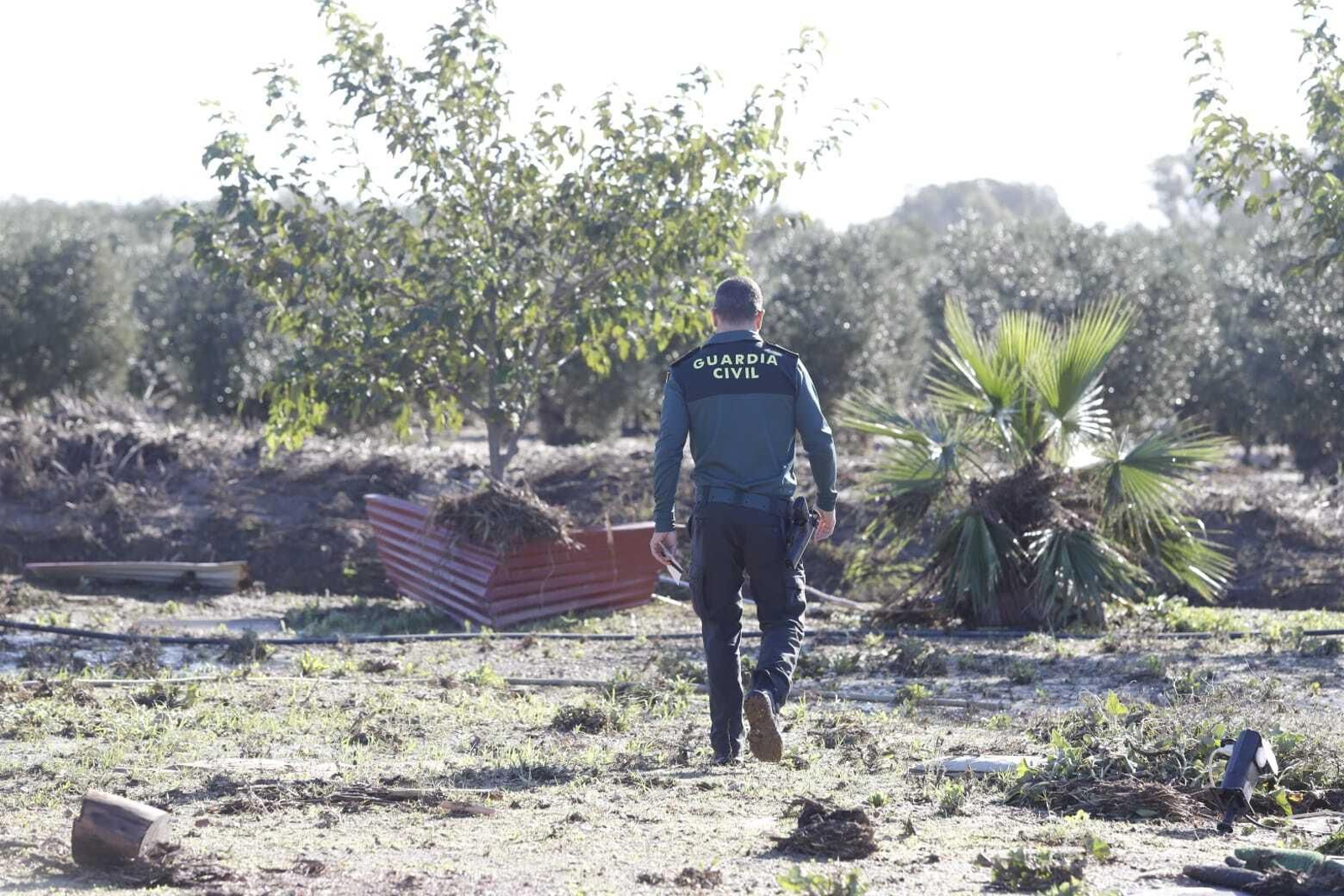 Las imágenes de las grandes inundaciones en Los Palmares entre San Juan y Trigueros