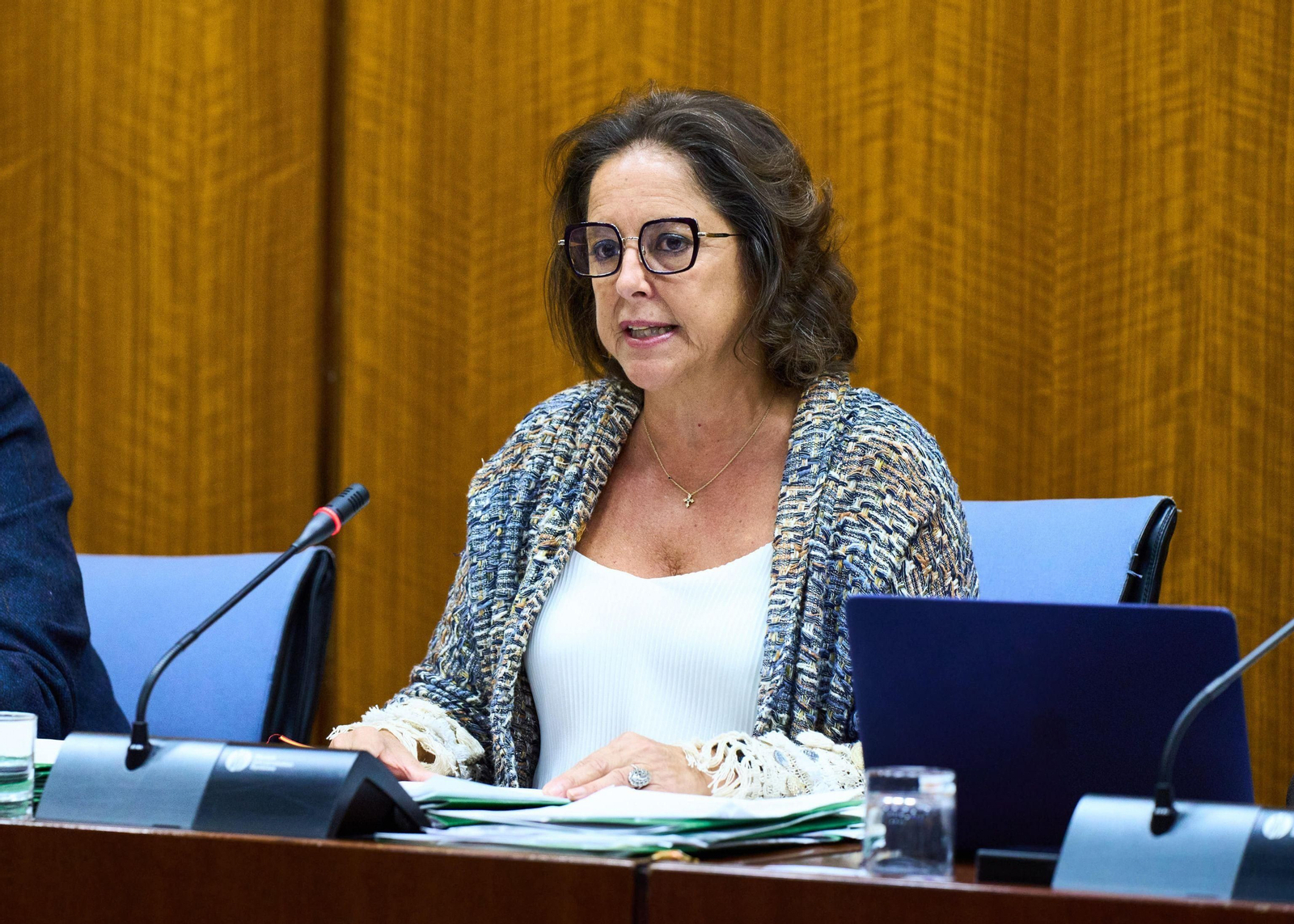 La consejera de Salud y Consumo, Catalina García, en comisión parlamentaria.