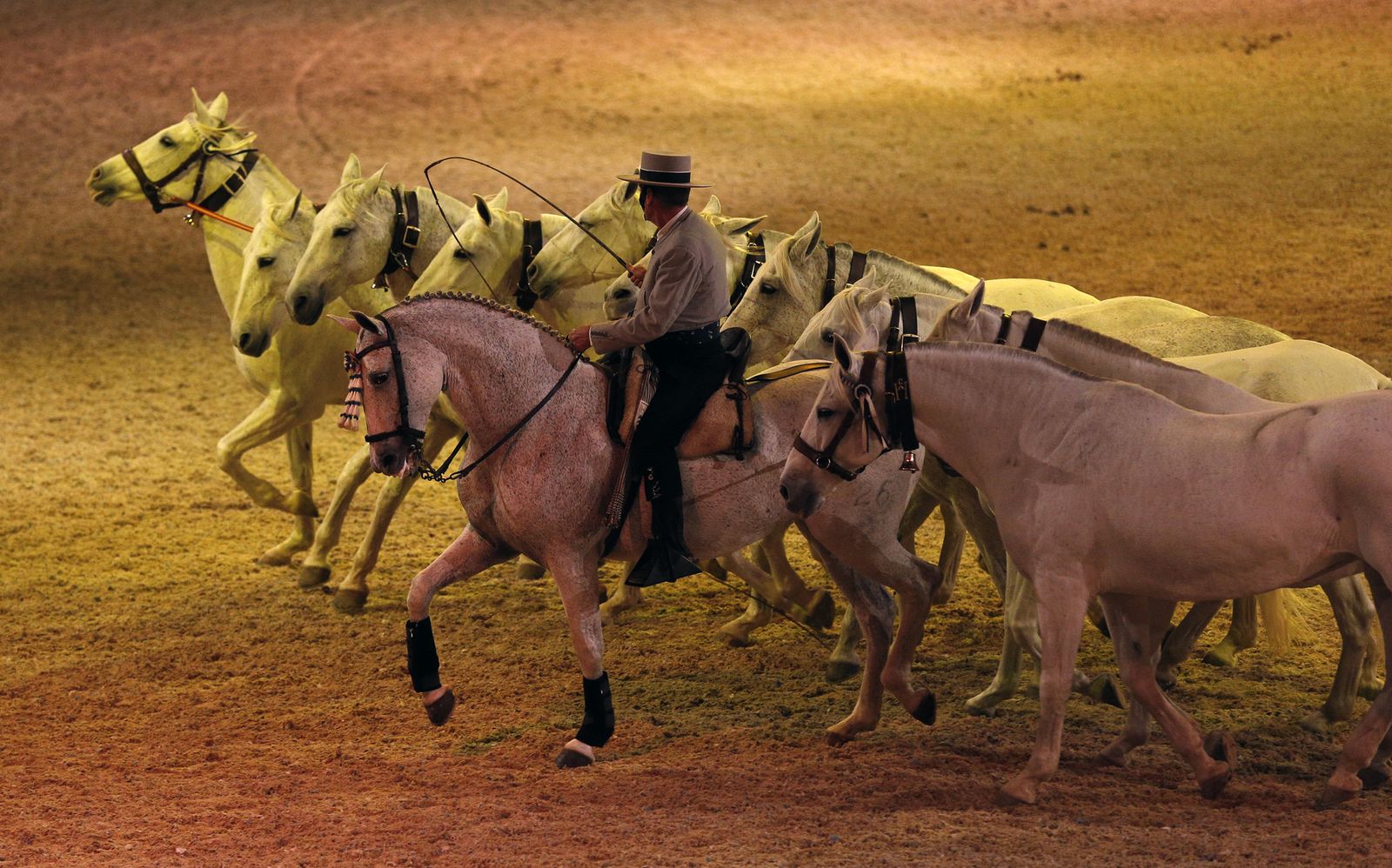 Inauguración de Sicab 2017