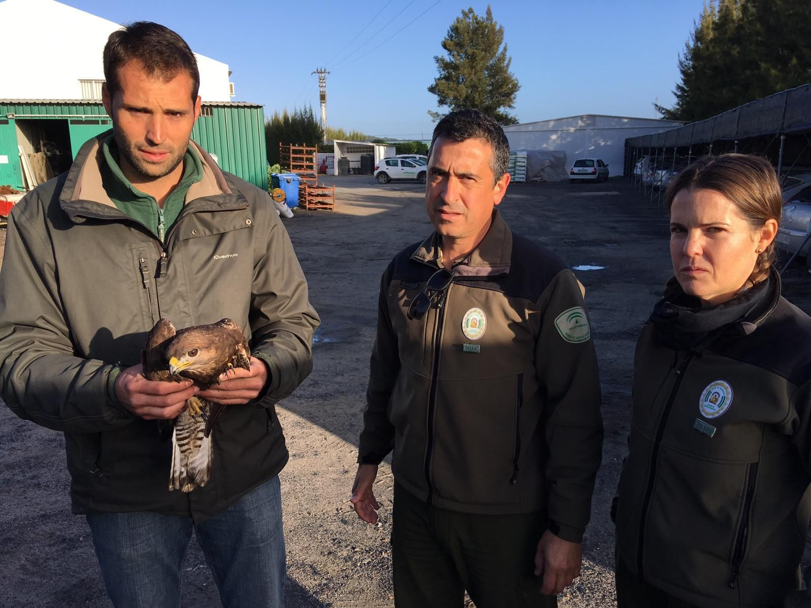 José Ángel Rodríguez sujeta al águila, junto a los agentes de Medio Ambiente