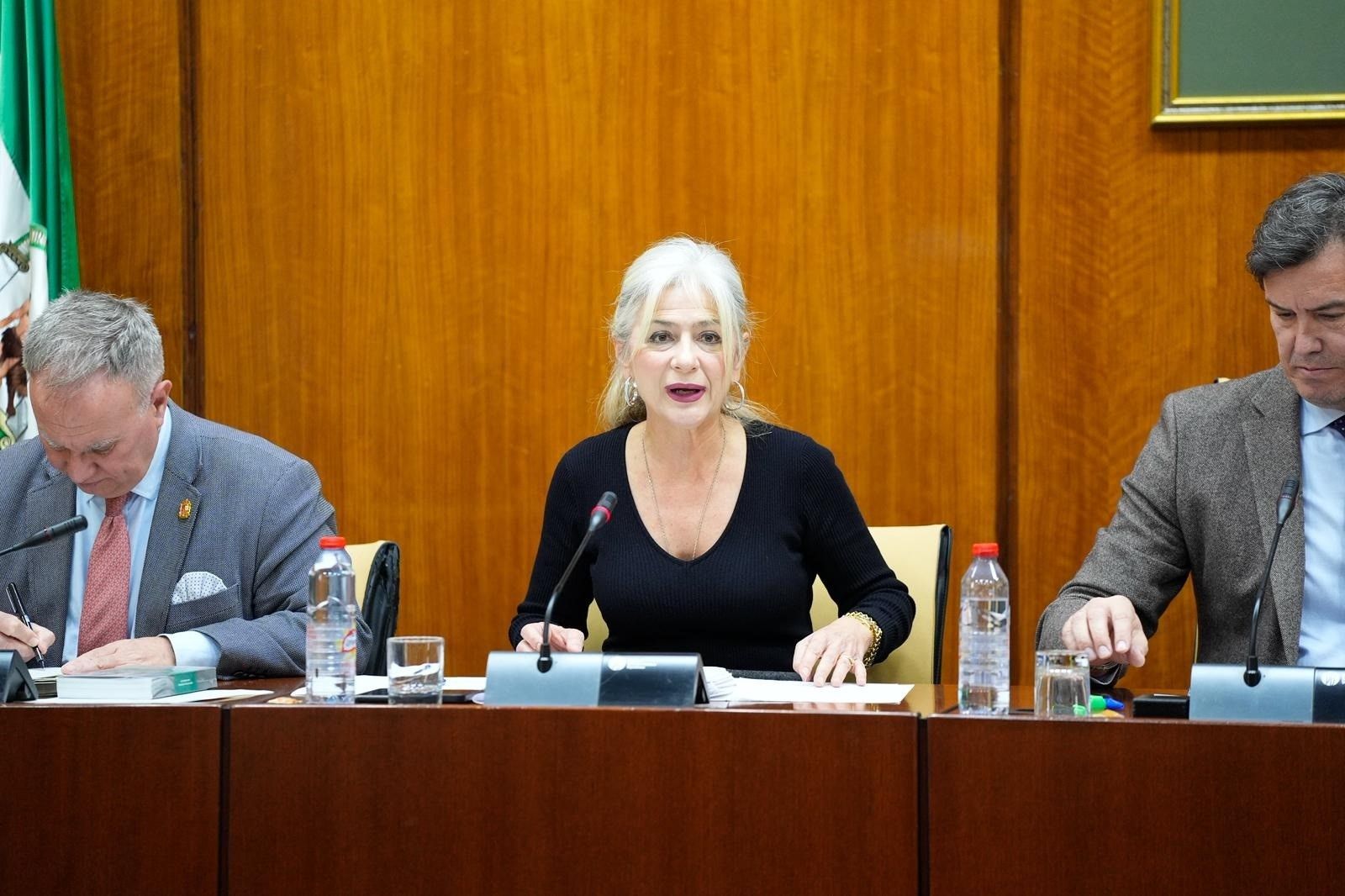 Patricia del Pozo, en la comisión de Cultura y Deporte del Parlamento andaluz.