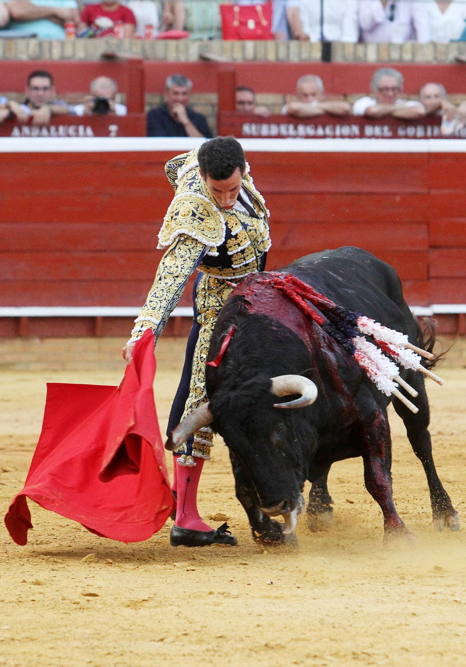 David de Miranda durante la corrida de esta tarde en la Plaza de Toros La Merced